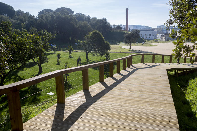 Jogos do Seixal 2023  Câmara Municipal do Seixal